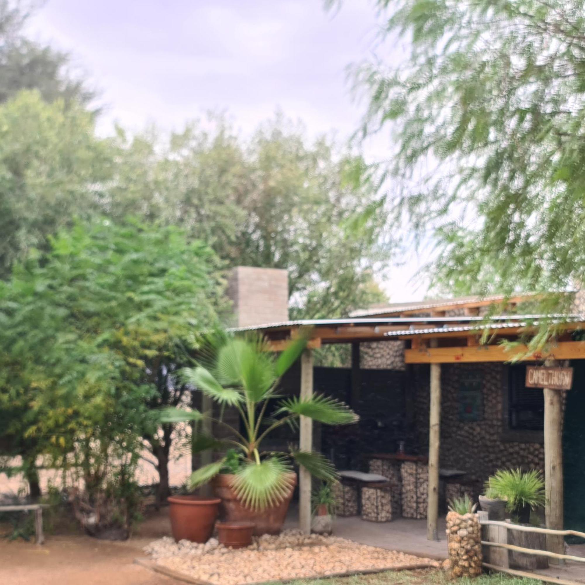 Kalahari Camelthorn Guesthouse And Camping Askham ภายนอก รูปภาพ